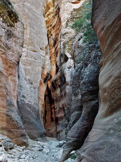 Photographs of Orderville Canyon