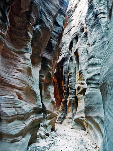 Dry narrows in Orderville Canyon