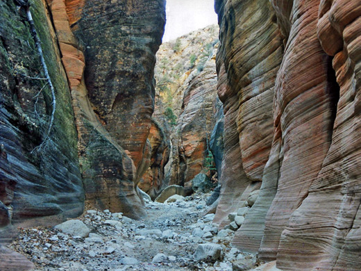Wide part of Orderville Canyon