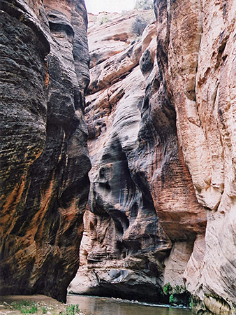 Photographs of Parunuweap Canyon