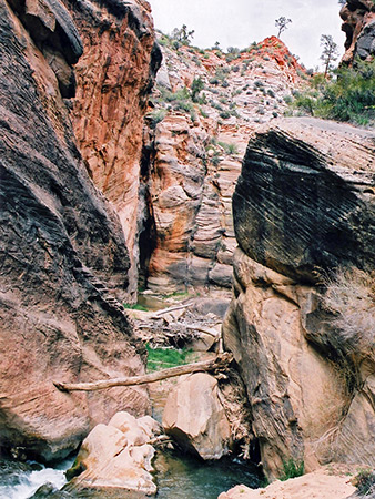Photographs of Parunuweap Canyon