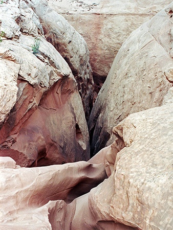 Photographs of Tributaries of Poison Spring Canyon