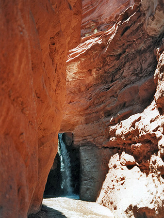 Photographs of Professor Creek