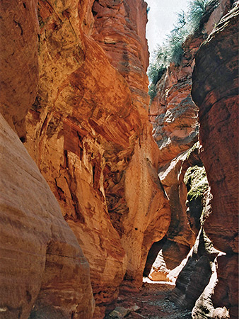 Photographs of Red Canyon (Peek-a-Boo Canyon)