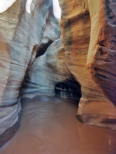 Deep, muddy pool in Rock Canyon