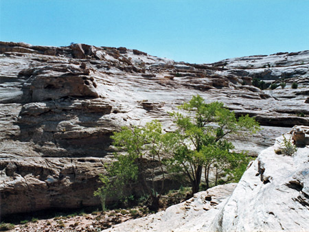 Photographs of Rock Canyon