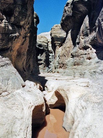 Photographs of Rock Canyon
