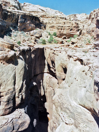Photographs of Rock Canyon