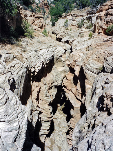 Light grey sandstone cliffs in Round Valley Draw