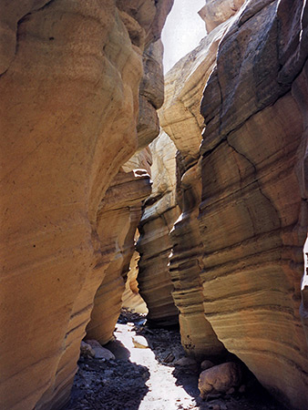 Photographs of Round Valley Draw