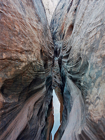 Photographs of Smith Fork