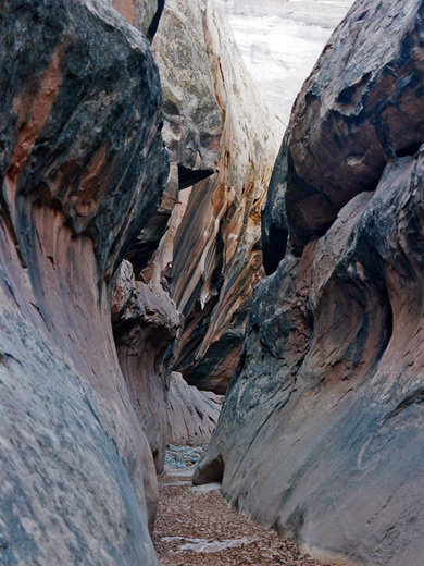 Photographs of Smith Fork