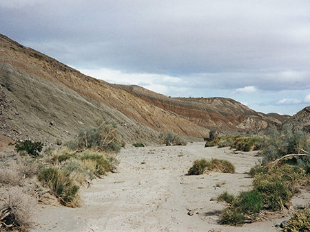 Photographs of Anza Borrego Desert State Park