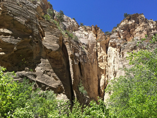 Tall cliffs above Spring Hollow
