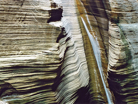 Photographs of Spring Hollow