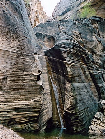Photographs of Spring Hollow