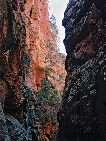 Photographs of Spring Creek Canyon