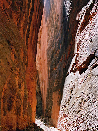 Photographs of Spring Creek Canyon