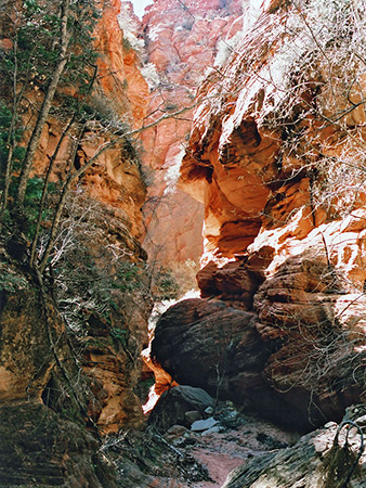 Photographs of Spring Creek Canyon