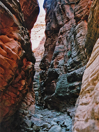 Photographs of Spring Creek Canyon