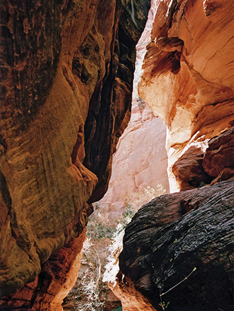 Photographs of Spring Creek Canyon