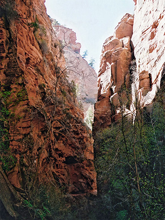 Photographs of Spring Creek Canyon