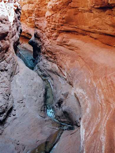 Photographs of Starlight Canyon