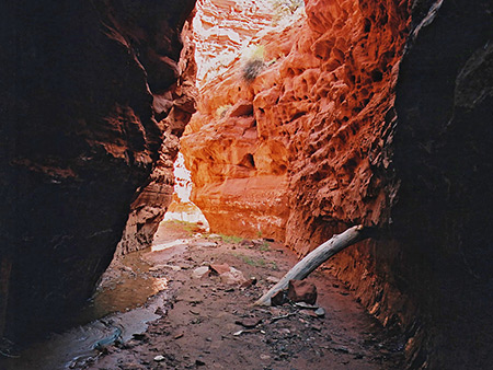 Photographs of Starlight Canyon