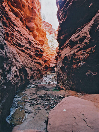 Photographs of Starlight Canyon