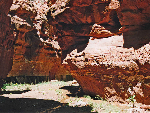 Photographs of Starlight Canyon