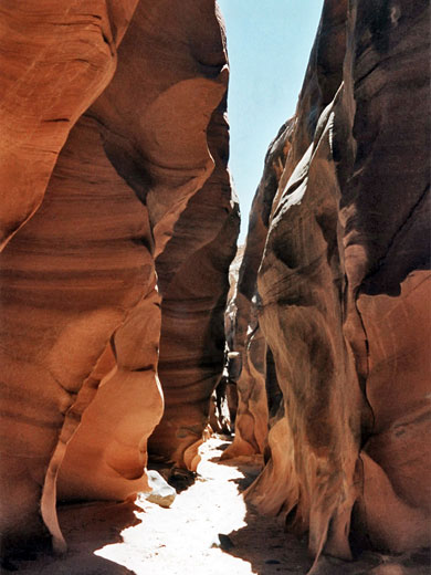 Shallow narrows near the start of the canyon