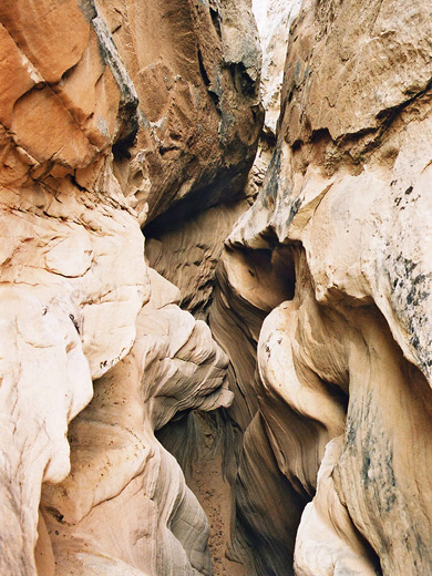 Photographs of Stateline Canyon