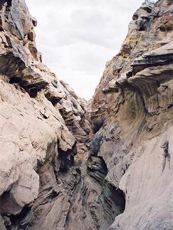 Photographs of Stateline Canyon