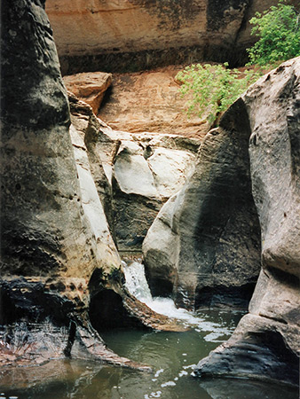 Photographs of North Creek, Left Fork