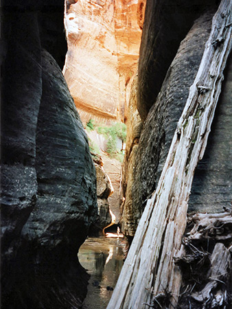 Photographs of North Creek, Left Fork