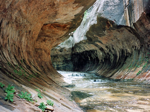Photographs of North Creek, Left Fork