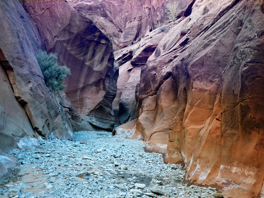 Photographs of Swett Creek
