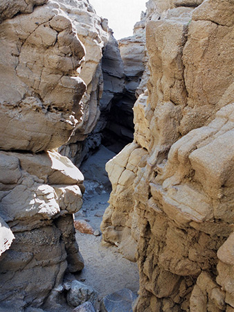 Photographs of Anza Borrego Desert State Park