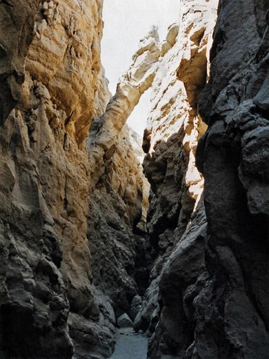 Photographs of Anza Borrego Desert State Park