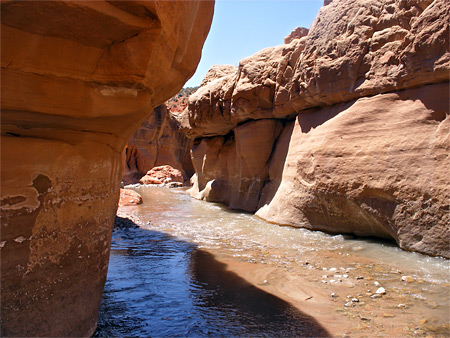 Photographs of Trachyte Creek