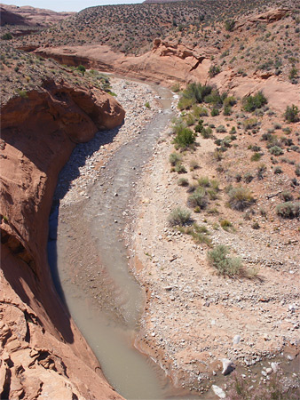 Photographs of Trachyte Creek