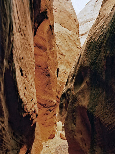 Photographs of Maidenwater Canyon