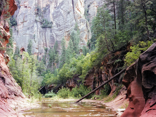 Photographs of West Fork of Oak Creek