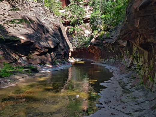 Photographs of West Fork of Oak Creek