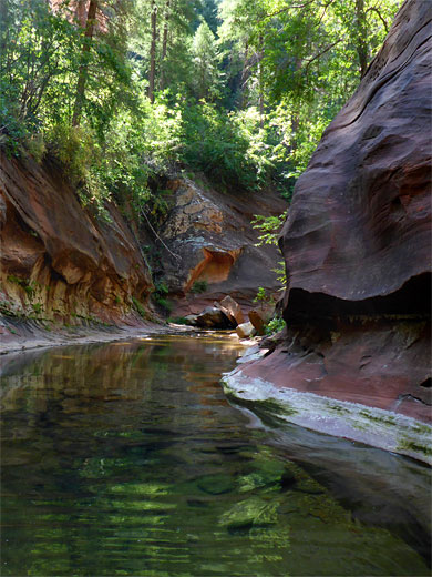 Photographs of West Fork of Oak Creek