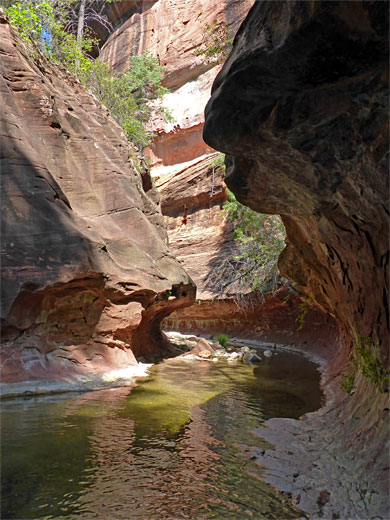 Photographs of West Fork of Oak Creek