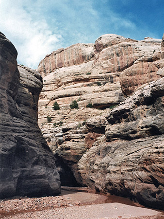 Photographs of White Canyon