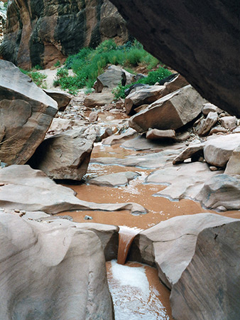 Photographs of White Canyon