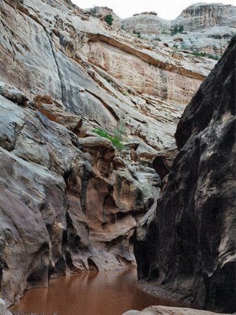 Photographs of White Canyon