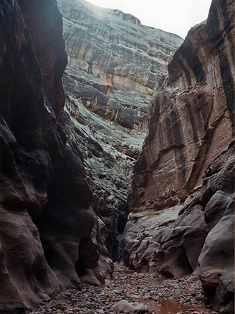 Photographs of White Canyon